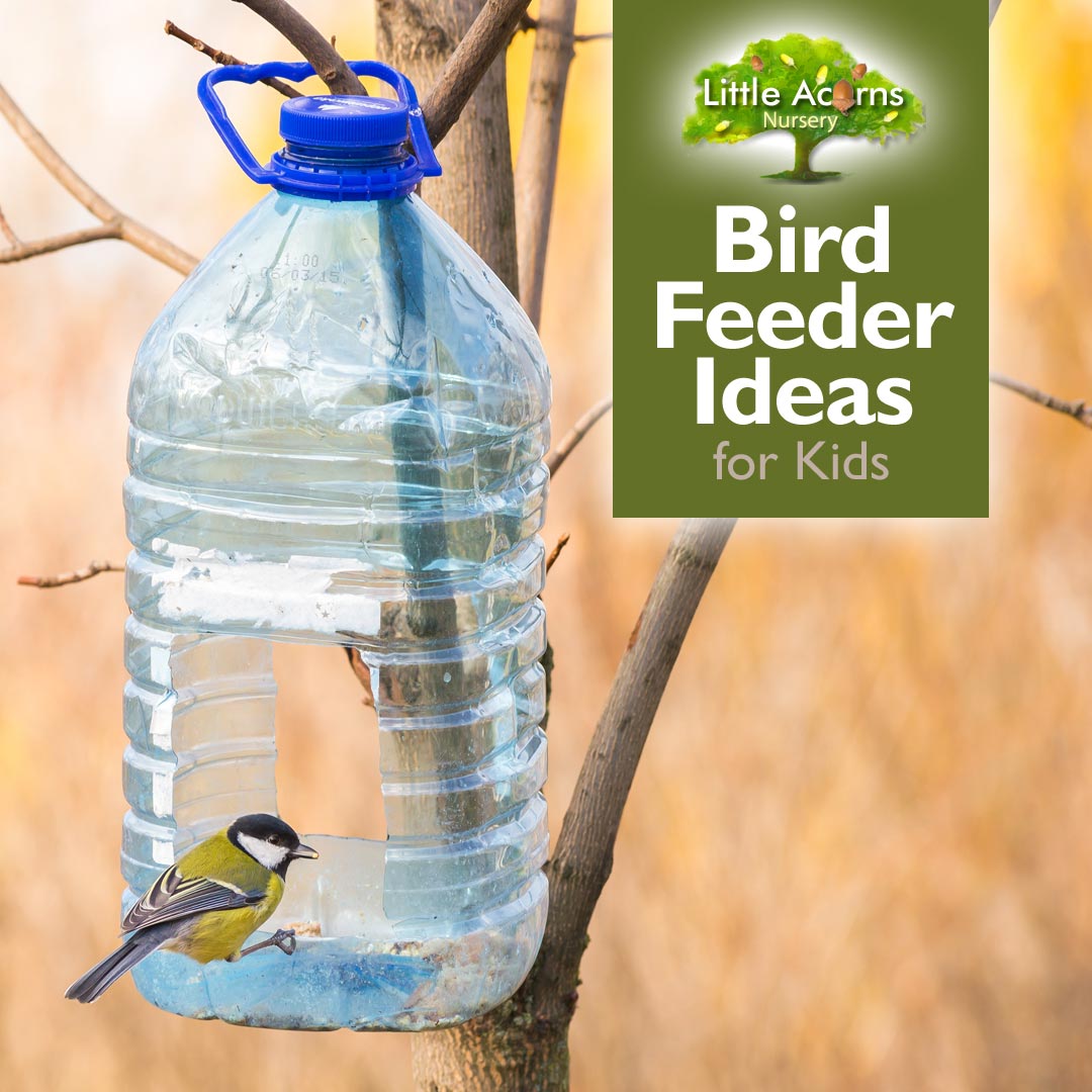 14 Things You Should Never Put in Bird Feeders