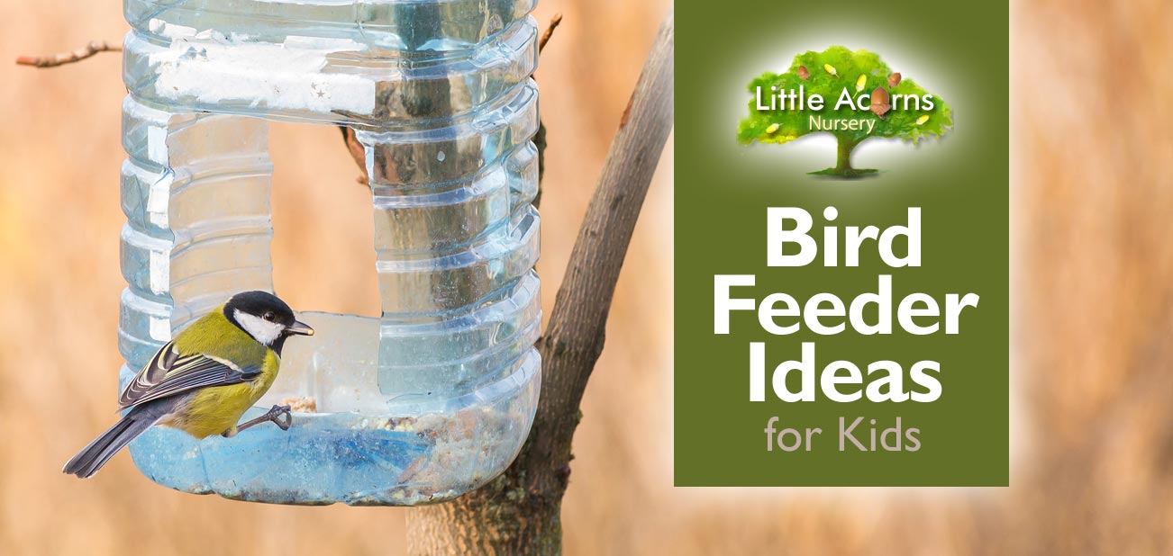 14 Things You Should Never Put in Bird Feeders, bird feeder