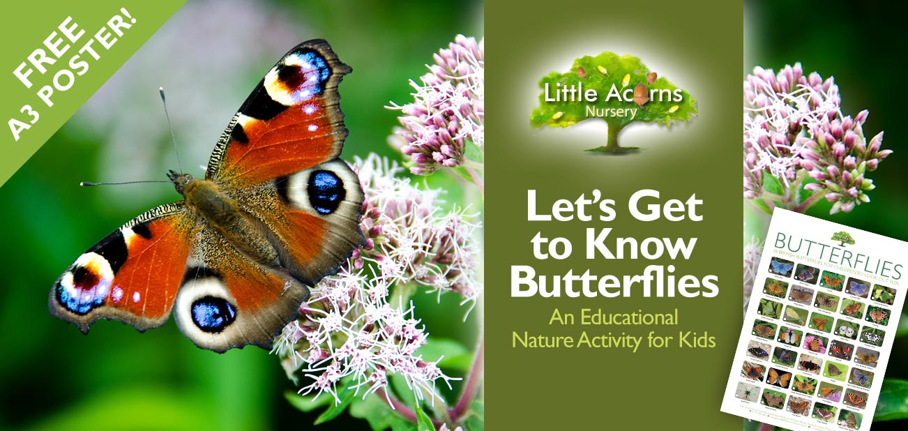 Let's Get to Know Butterflies – An Educational Nature Activity for Kids (with Free Poster!)