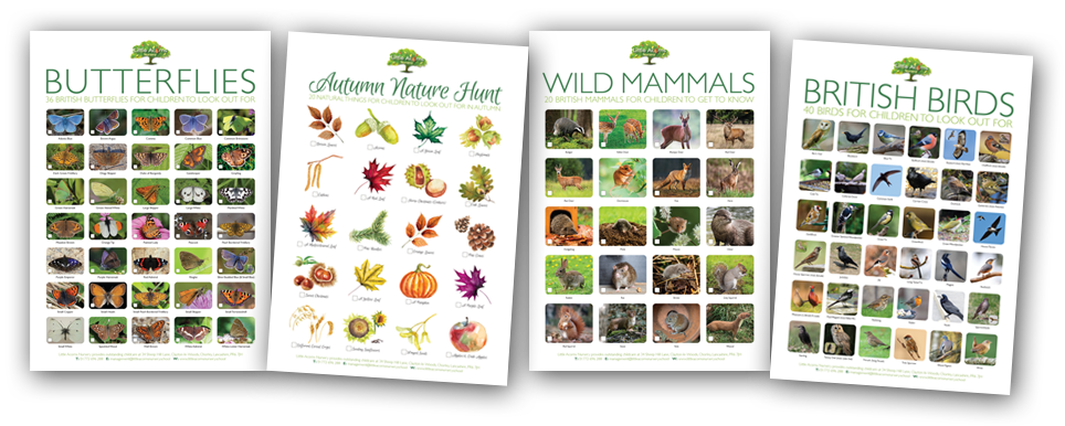 More free nature-based posters for children to download.